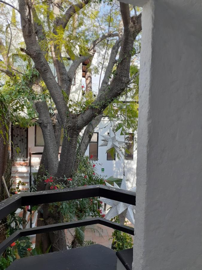 Casa Blanca San Miguel Otel San Miguel de Allende Dış mekan fotoğraf